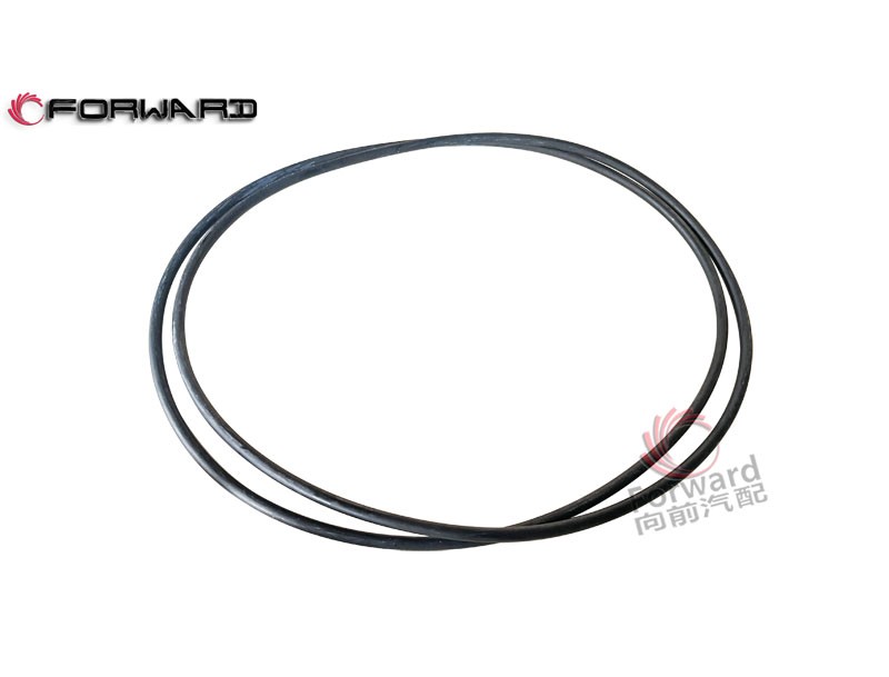 陕汽重卡 汉德HDZ237  HD9T 转向驱动桥轮边差速器系统/06.56341.3271  O型圈