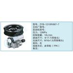 ZYB-1210R-667-7小车转向泵系列