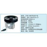 ZYB-0807R-2071B,S6J-3407010-C1小車轉(zhuǎn)向泵系列