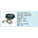 ZYB-0807R-2144,3401200-H03小車轉(zhuǎn)向泵系列
