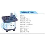 CB-F310-CFP-1200-1齒輪泵