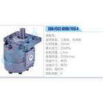 CBN-F532-BFHR-1110-4,工程車、農用車齒輪泵