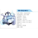 ZYB-1312L-807-2，1000053937，WP7鋁泵動(dòng)力轉(zhuǎn)向助力泵，葉片泵