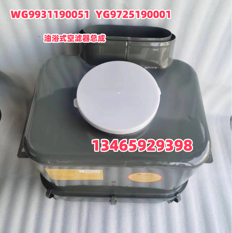 WG9931190051