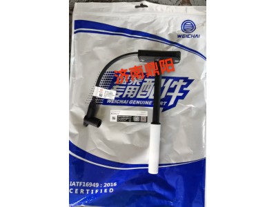 1002869098高压线总成