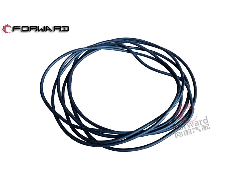 特种车 12V150L 动力发动机系统  4.03.112 密封圈/4.03.112  密封圈
