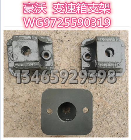 WG9725590319