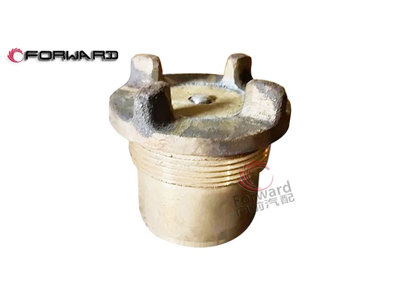 120.02.10  水箱安全阀,Tank relief valve,济南向前汽车配件有限公司