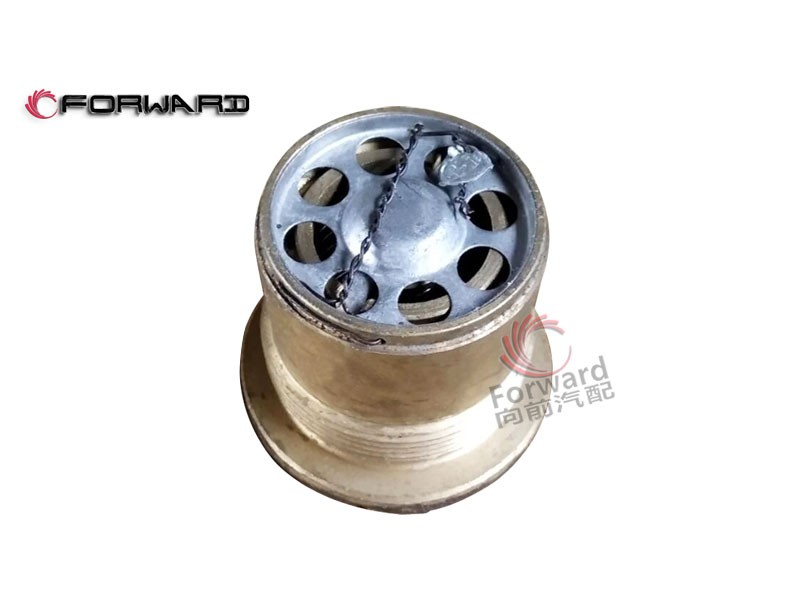 120.02.10  水箱安全阀,Tank relief valve,济南向前汽车配件有限公司