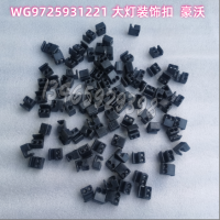 WG9725931221  大燈裝飾扣  豪沃