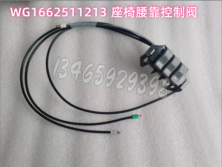 WG1662511213