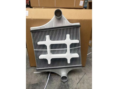 DZ96259531030陕汽M3000中冷器总成