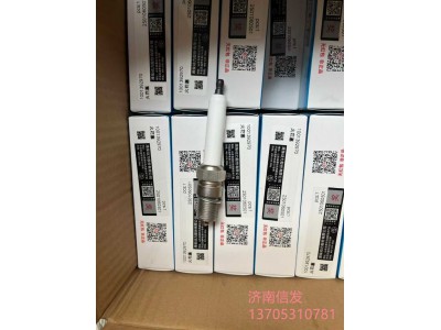 1001392970,1001392970博杜安发动机火花塞济南信发,济南信发汽车配件有限公司