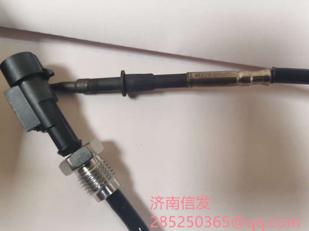1000665504德龍排溫傳感器濟南信發(fā)/1000665504