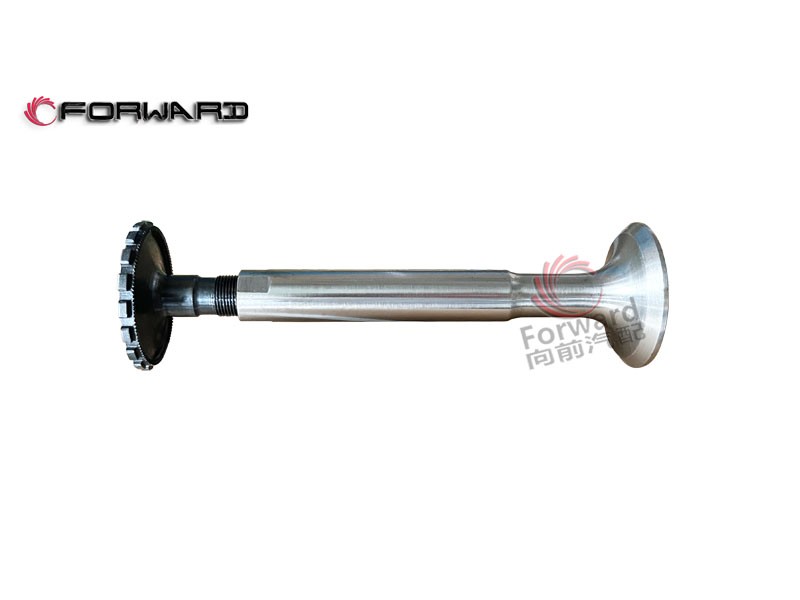 特种车 12V150ZL 动力配气系统 4.06.150 排气门