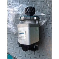 QC2-15-D27 803003397 起重機(jī)齒輪泵總成   900