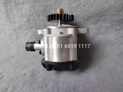 555239652,转向助力泵,济南泉达汽配有限公司