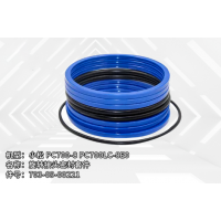 外貿(mào)現(xiàn)貨供應(yīng) 小松 PC700-8 PC700LC-8E0 旋轉(zhuǎn)接頭密封套件703-09-00221