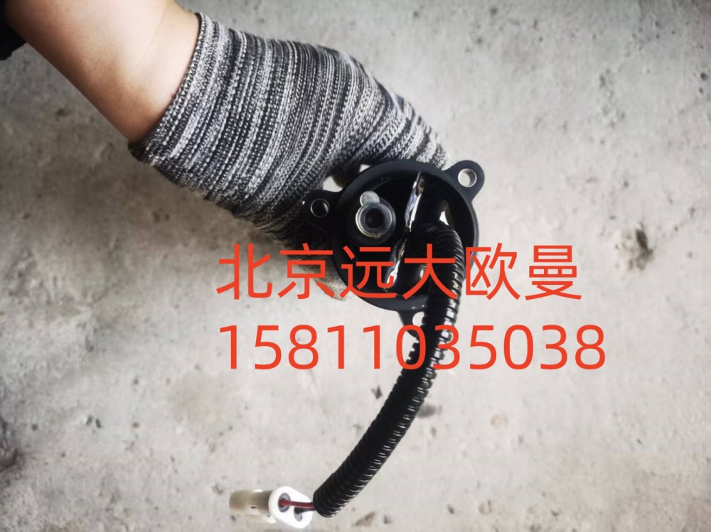 H411000000528A02076,电泵组件,北京远大汽车配件有限公司