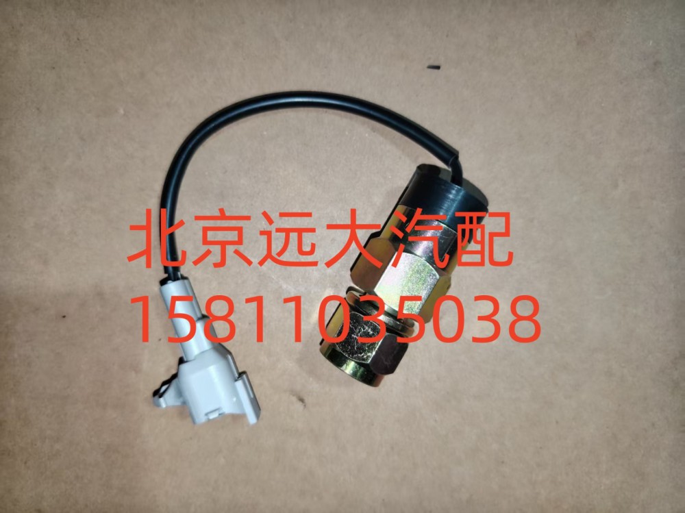 F1419336601001A1312,电动举升开关,北京远大汽车配件有限公司