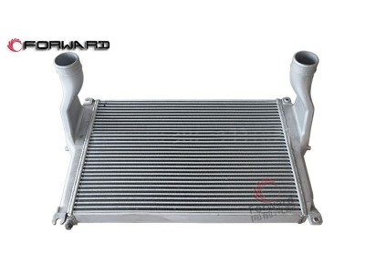 SHACMAN X6000  动力冷却系统 DZ96259531071 中冷器