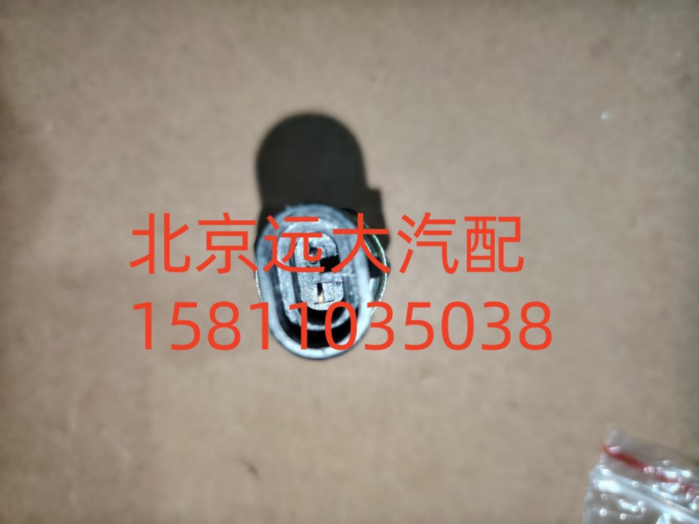 FH0366080006A0A1259,副启动开关,北京远大汽车配件有限公司
