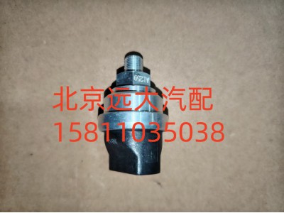 FH411900000316A1259,空滤器堵塞报警灯开关,北京远大汽车配件有限公司