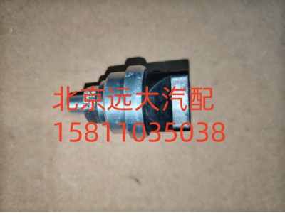 FH411900000316A1259,空滤器堵塞报警灯开关,北京远大汽车配件有限公司