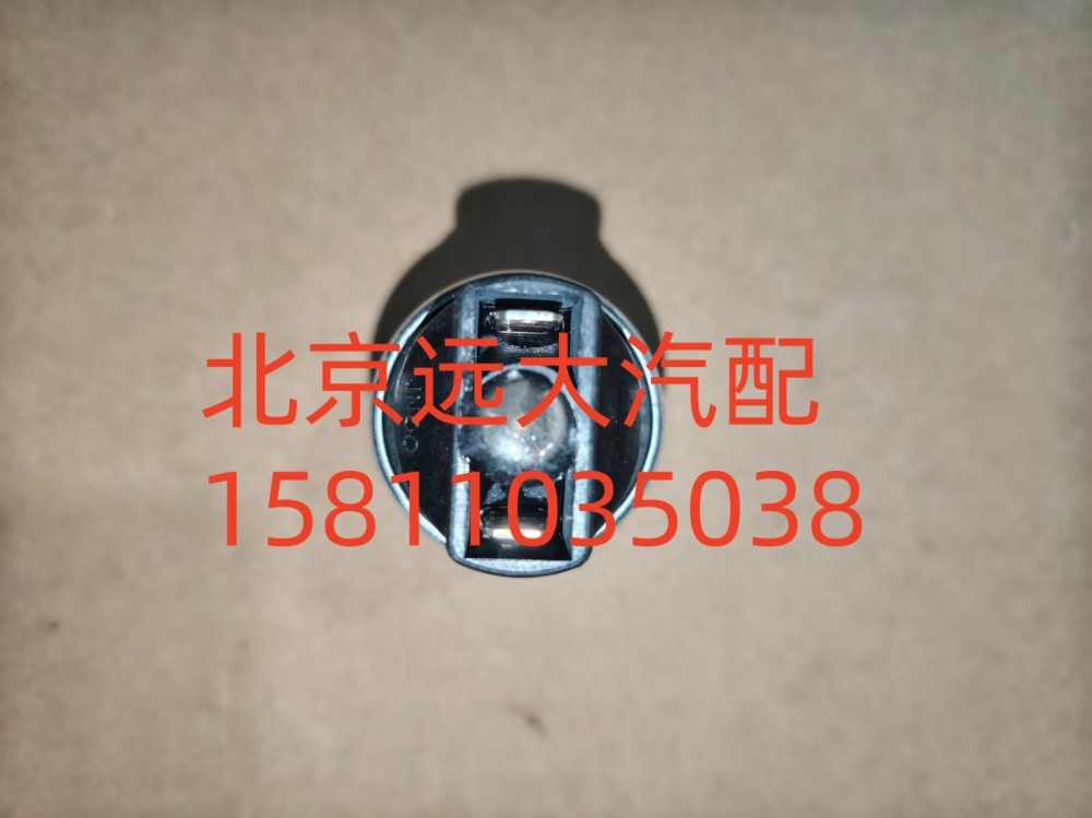 FH411900000316A1259,空滤器堵塞报警灯开关,北京远大汽车配件有限公司