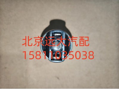 FH411900000316A1259,空滤器堵塞报警灯开关,北京远大汽车配件有限公司