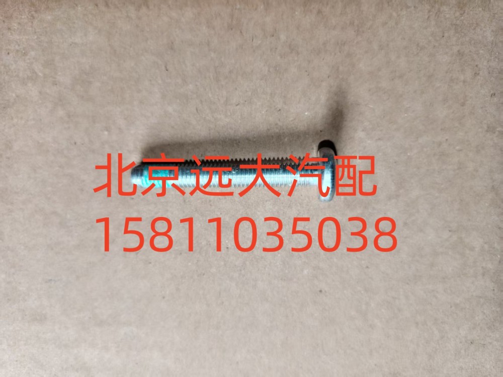梅花螺栓S0736.300.659W0077