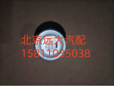 H637300000008A0737,一键启动开关,北京远大汽车配件有限公司