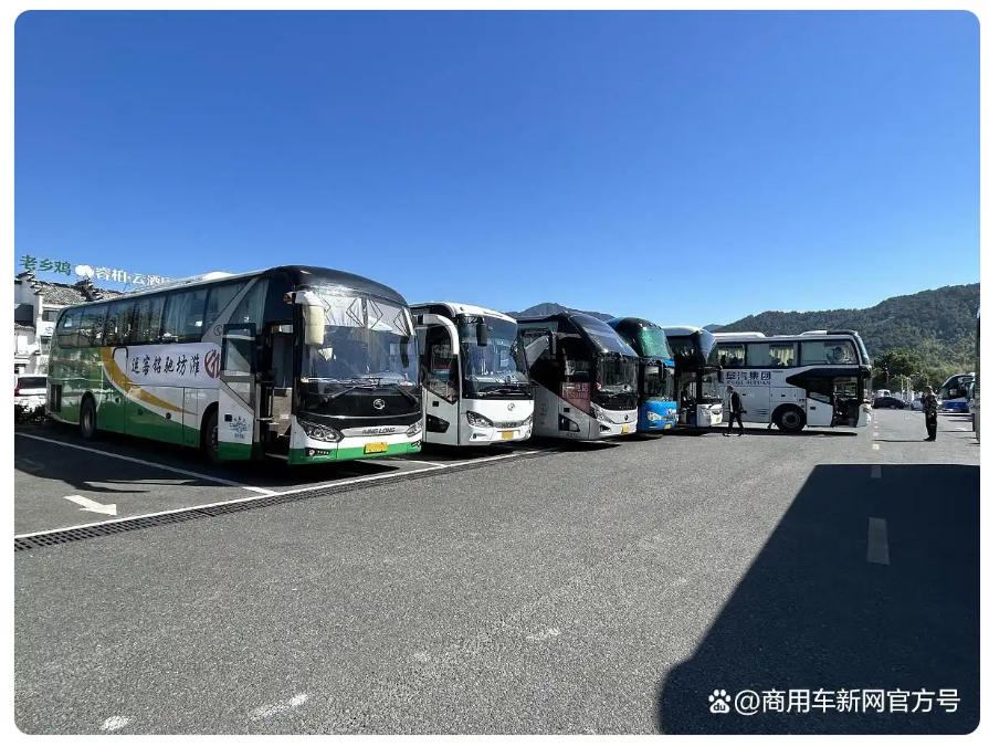 未标题-6