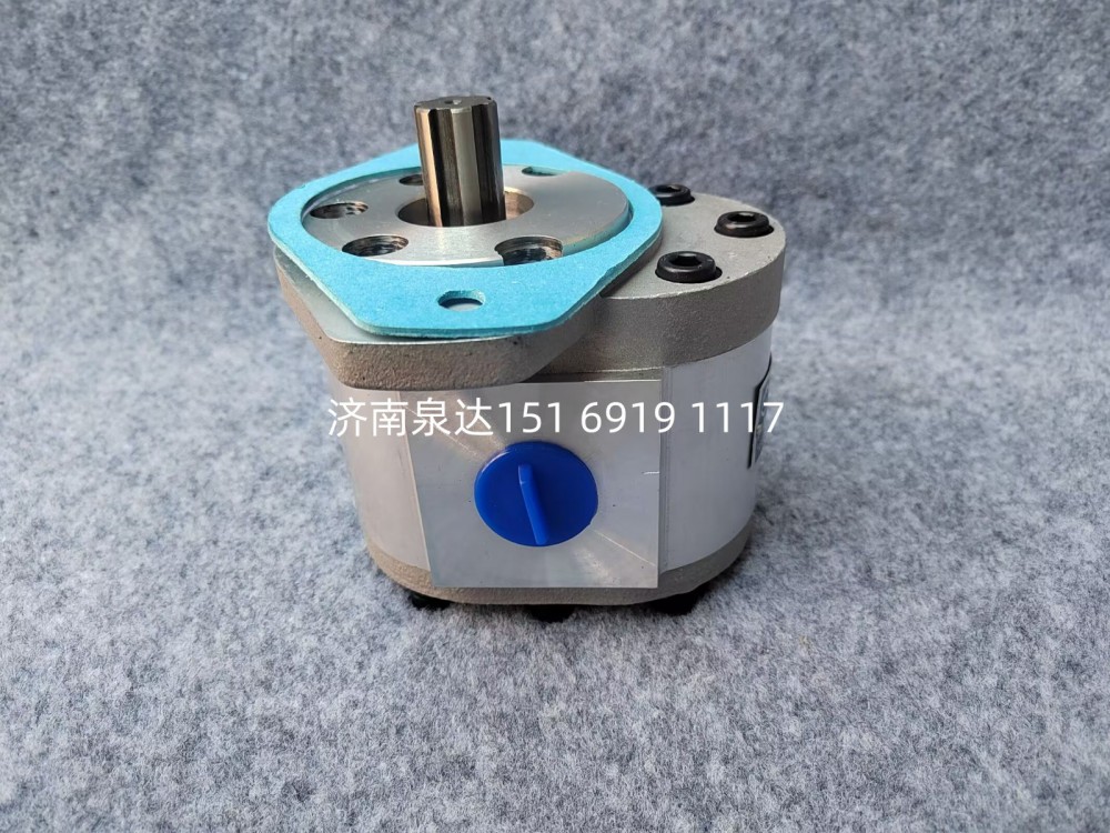 QC25/16-226B潍柴道依茨转向齿轮泵助力泵液压泵齿轮油泵图2