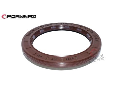 ZF WG180 YD13 4WG200 6WG200 传动变矩器系统 750111116  油封