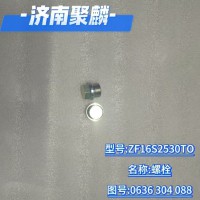螺栓 0636 304 088