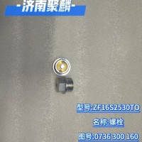 螺栓 0736 300 160