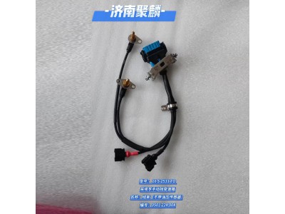 线束（不带油压传感器） 0501 224 004