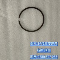 擋圈 行星架卡簧  0730 307 036