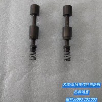 活塞 6093 202 003