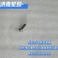 梅花螺栓（分離軸承執(zhí)行器） 0736 300 208