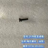 梅花螺栓（油泵） 0736 101 051