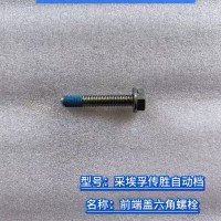 前端蓋六角螺栓 0636 102 270