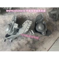 WG9925520310平衡軸帶軸殼總成