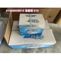 61560030013	 活塞銷