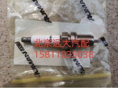 S4384910A2080,火花塞,北京远大汽车配件有限公司