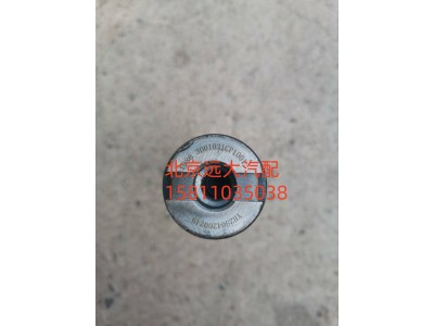 SH3001021-CP1001,转向节主销,北京远大汽车配件有限公司