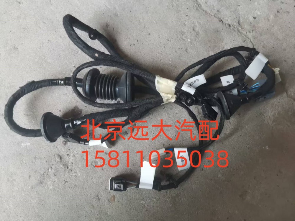H0374060200A0,左车门线束总成,北京远大汽车配件有限公司