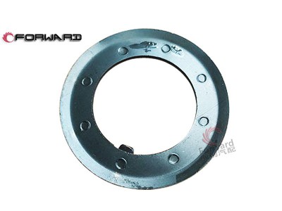 WG2229040310  锁紧螺母垫圈及锁片,Main shaft lock plate,济南向前汽车配件有限公司