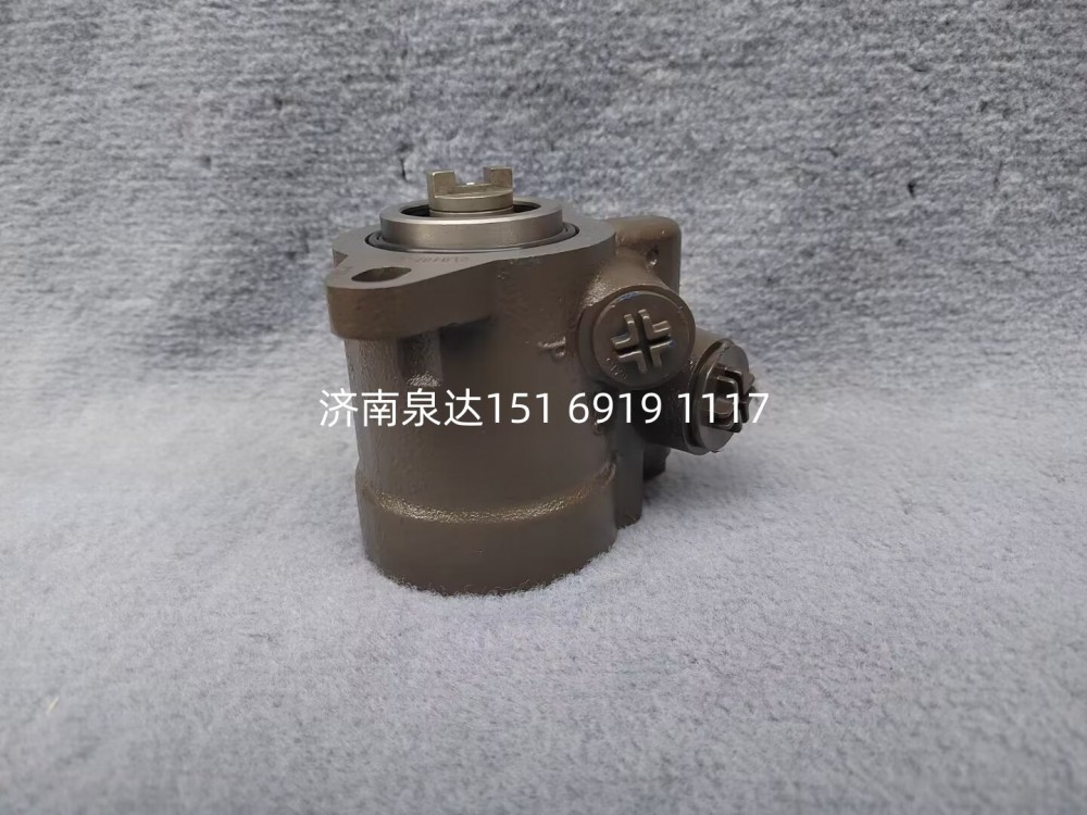 FG9806470954,转向助力泵,济南泉达汽配有限公司